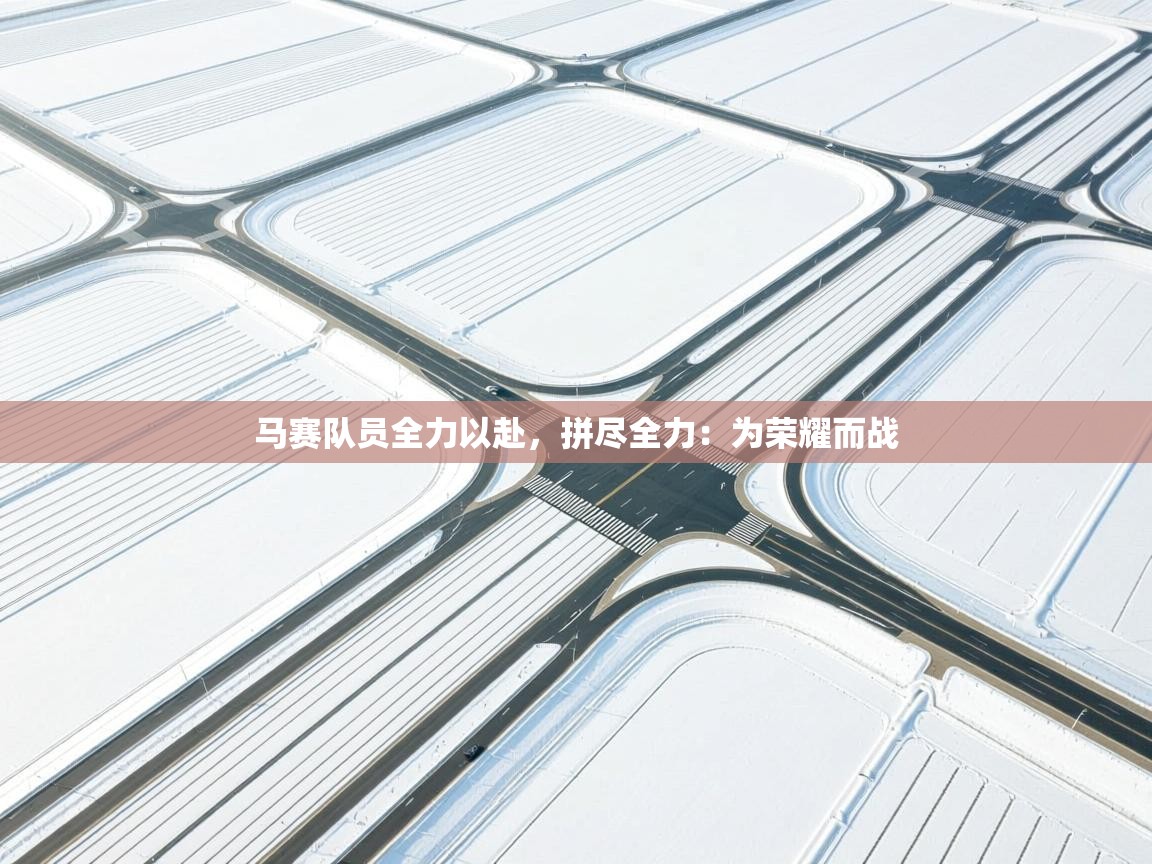 马赛队员全力以赴,拼尽全力:为荣耀而战 第2张